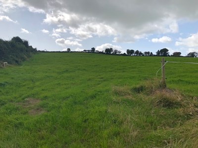 Site at Curriclough